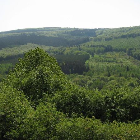 Berghotel Holzerath Esterno foto